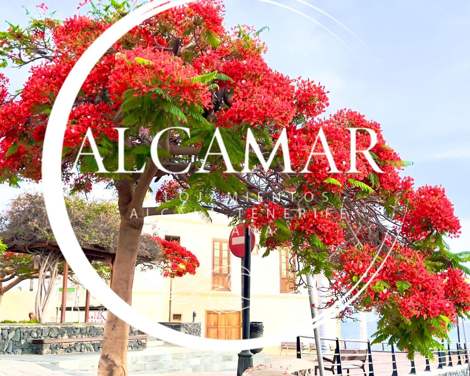 Alcamar Habitacion Privada Con Las Areas De Sala, Cocina Y Bano Que Se Comparten Cerca Al Mar! Алькала Экстерьер фото